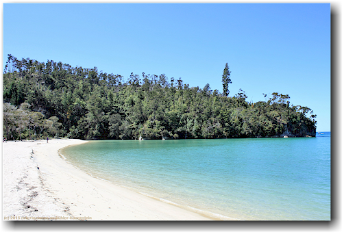 sandstrand in der torrent bay im abel tasman national park