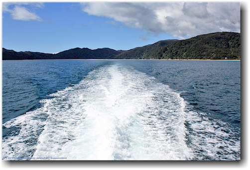 goat bay und kielwasser im abel tasman national park