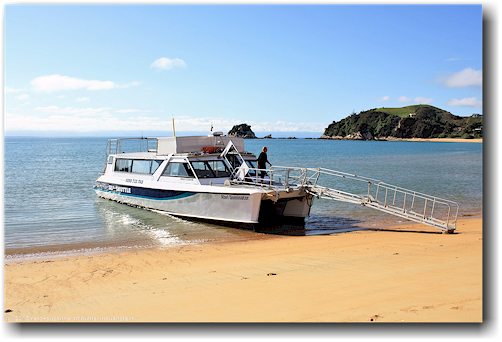 sea shuttle bei kaiteriteri beim abel tasman national park