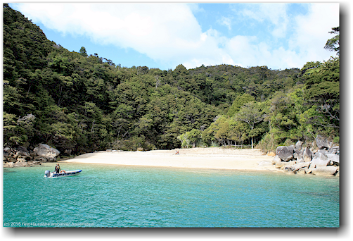 medlands beach im abel tasman national park