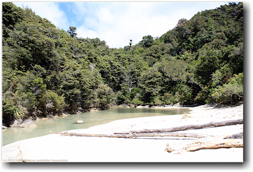 kleine lagune bei der medlands beach im abel tasman national park