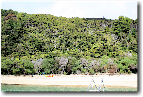 onetahuti beach im abel tasman national park