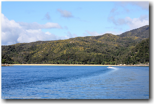 the anchorage im abel tasman national park