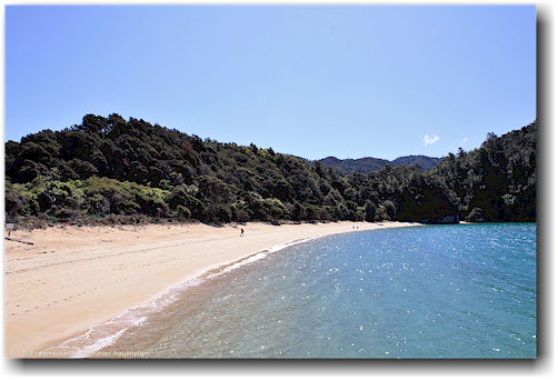 sandstrand bei the anchorage im abel tasman national park