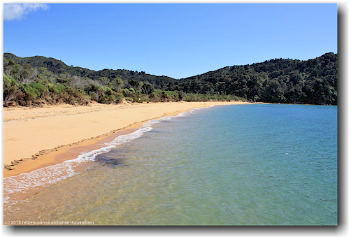 sandstrand an der totaranui beach im abel tasman national park