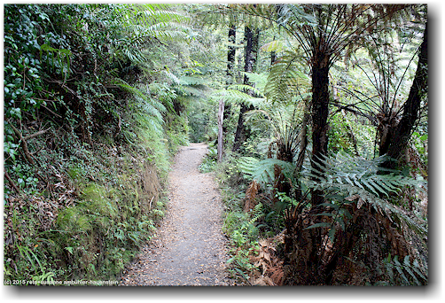 coast track im abel tasman national park