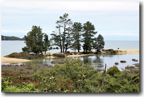 malerischer picknick-platz an der apple tree bay im abel tasman national park