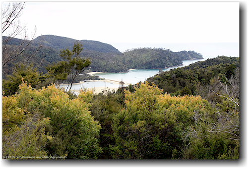 blick vom coast track auf die torrent bay im abel tasman national park