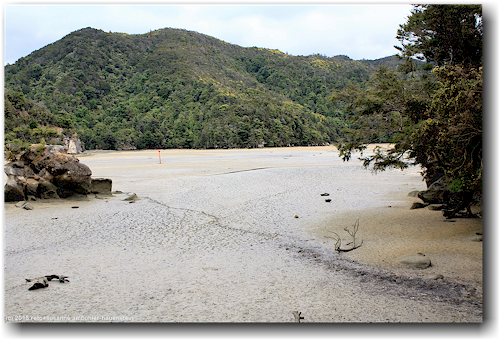 low tide track in der bucht der torrent bay im abel tasman national park