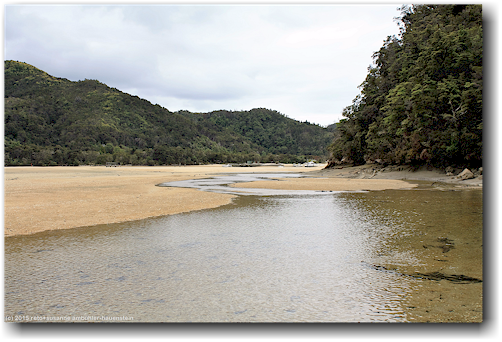 falls river in der bucht der torrent bay im abel tasman national park