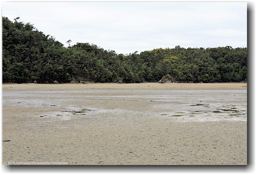in der bucht der torrent bay im abel tasman national park