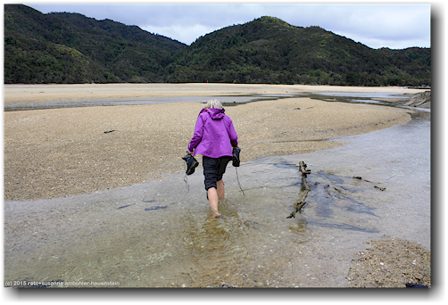 susanne watet durch den torrent river auf dem low tide track in der bucht der torrent bay im abel tasman national park