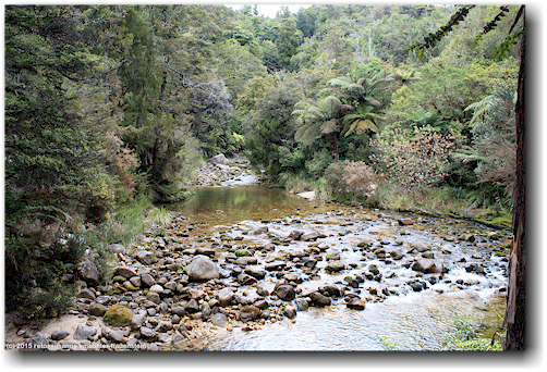 torrent river im abel tasman national park