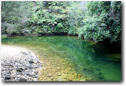 torrent river im abel tasman national park