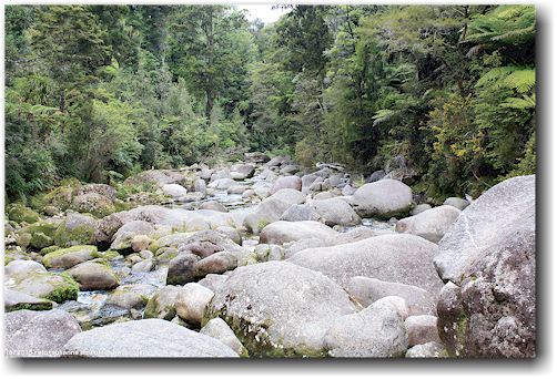 torrent river bei cleopatras pool im abel tasman national park