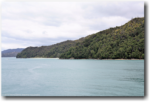 blick vom yellow point auf die stilwell bay im abel tasman national park