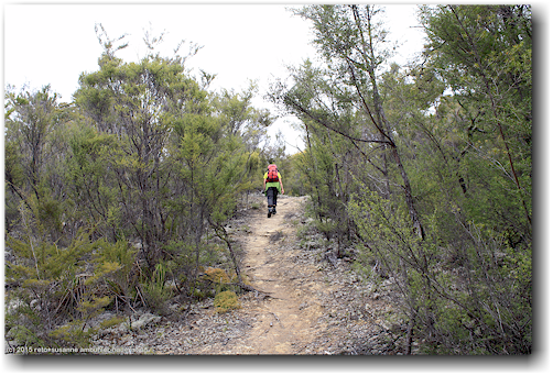 susanne auf dem torrent bay to holyoakes clearing track im abel tasman national park