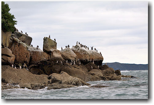 komorane beim tokongawha point