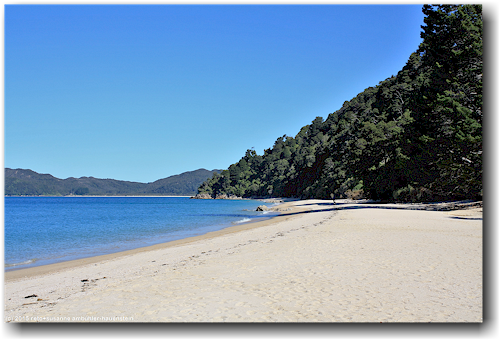 goat bay im abel tasman national park