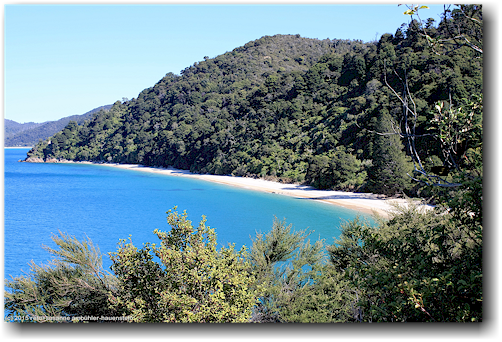 blick vom skinner point auf die goat bay im abel tasman national park