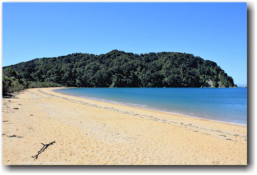 sandstrand an der totaranui beach im abel tasman national park
