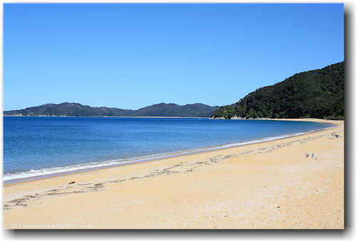 sandstrand an der totaranui beach im abel tasman national park