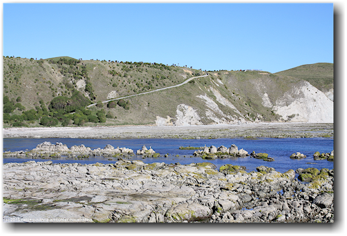 clifftop walk auf der kaikoura peninsula