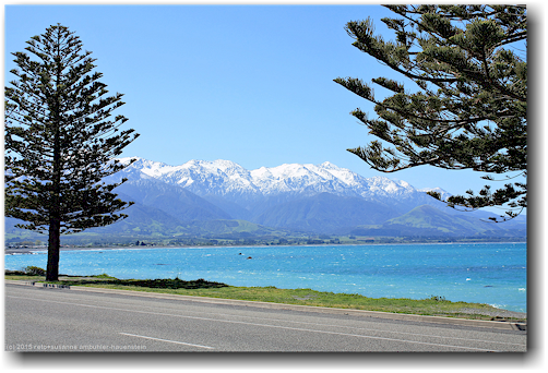 kueste und schneebedeckte berge bei kaikoura