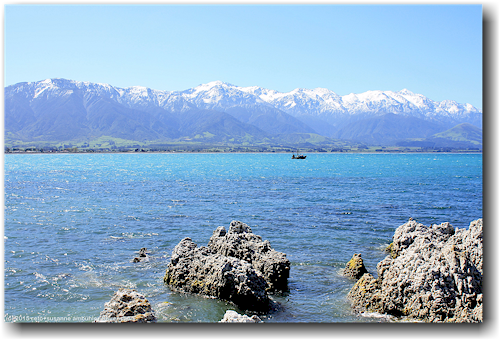 kueste und schneebedeckte berge bei kaikoura