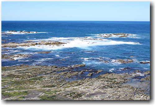 point kean auf der kaikoura peninsula