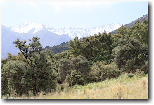 ausblick vom fyffe lower lookout auf die berge bei kaikoura