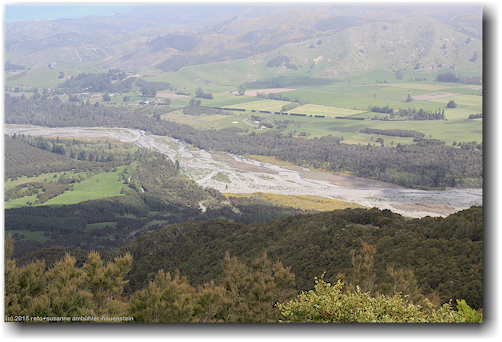 ausblick vom fyffe lower lookout auf den flusslauf bei kaikoura