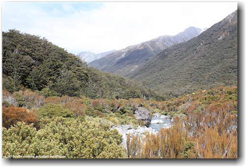 in der naehe der passhoehe des arthur's pass