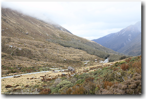 in der naehe der passhoehe des arthur's pass