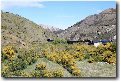 blick auf berglandschaft und den tranzalpin auf der fahrt von arthur's pass nach christchurch