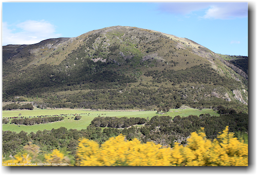 blick auf berglandschaft aus dem tranzalpin auf der fahrt von arthur's pass nach christchurch