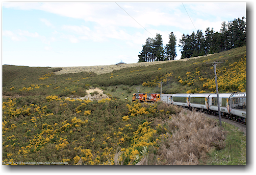 blick auf landschaft und den tranzalpin auf der fahrt von arthur's pass nach christchurch