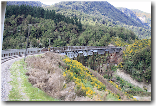 bruecke auf der fahrt mit dem tranzalpin von arthur's pass nach christchurch