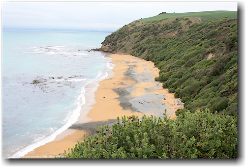 bushy beach scenic reserve bei oamaru