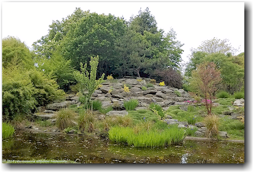 chinesischer garten in oamaru