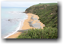 bushy beach scenic reserve bei oamaru