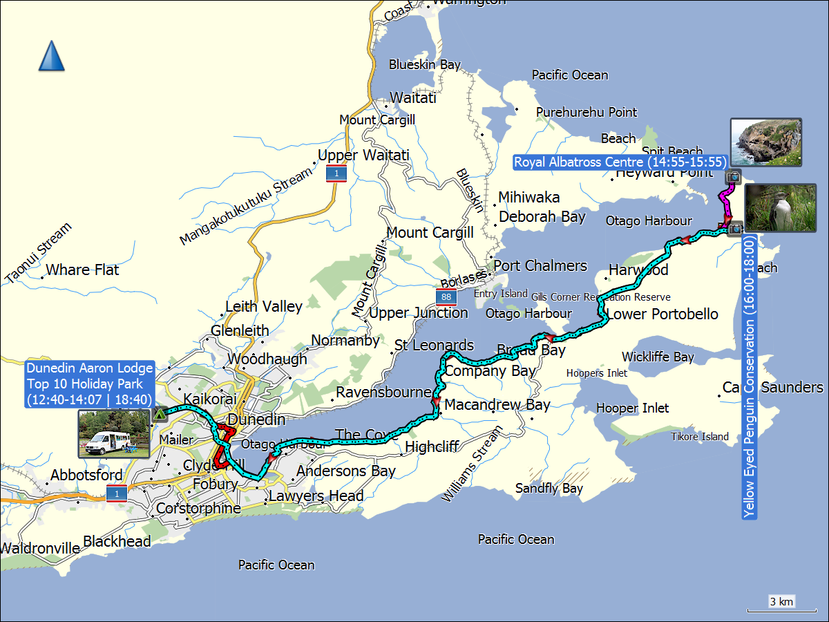 wegstrecken der fahrten bei dunedin