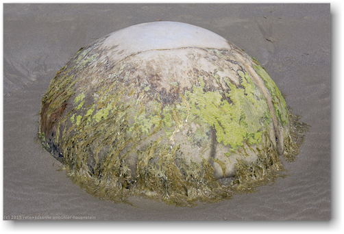 moeraki boulders - rollstein an der koekohe beach an der otago kueste