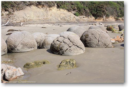 moeraki boulders - rollsteine an der koekohe beach an der otago kueste