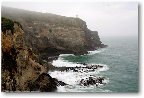 kueste beim royal albatross centre bei dunedin