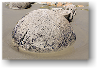 moeraki boulders - rollsteine an der koekohe beach an der otago kueste