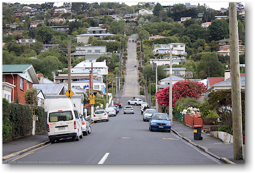 baldwin street in dunedin - steilste strasse der welt