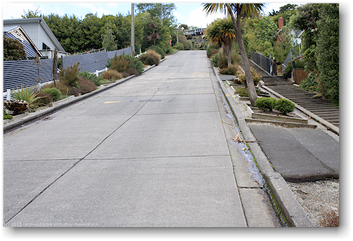baldwin street in dunedin - steilste strasse der welt