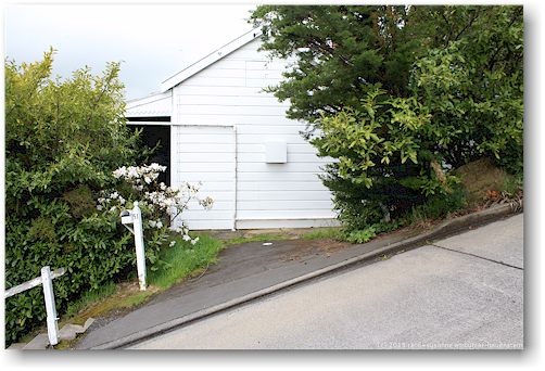 baldwin street in dunedin - steilste strasse der welt