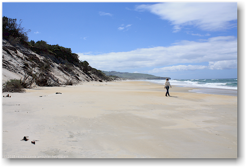 sandstrand an der saint clair beach in dunedin